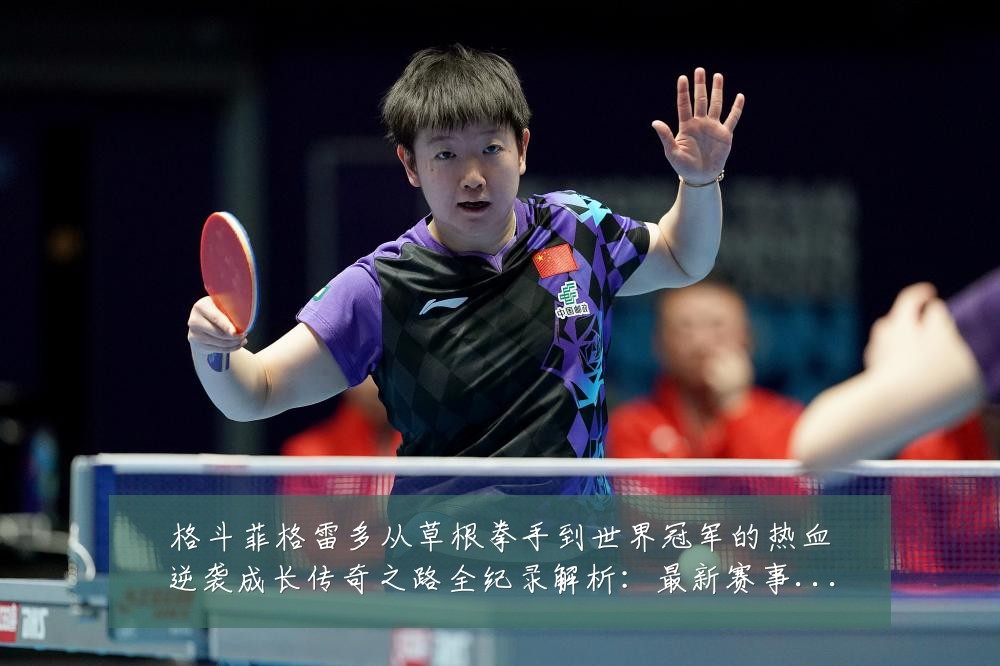 格斗菲格雷多从草根拳手到世界冠军的热血逆袭成长传奇之路全纪录解析:最新赛事动态与深度分析